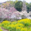 十輪寺（３）