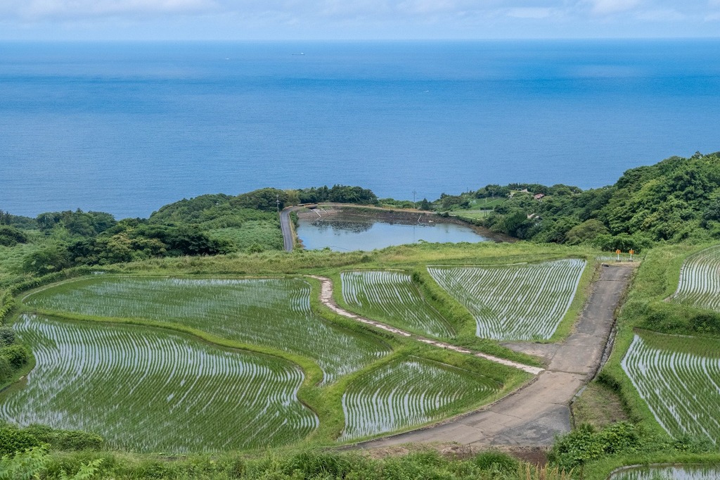 東後畑棚田（１）