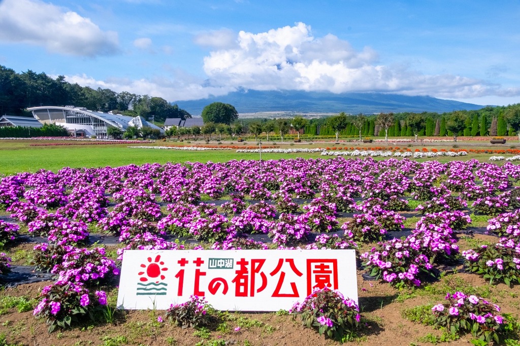 9月の花の都（１）