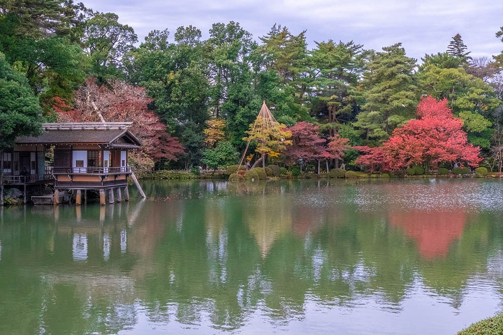 秋の兼六園（２）