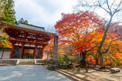 12月の奈良（30）