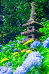 梅雨の鎌倉（10）