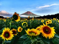 夏の山中湖３