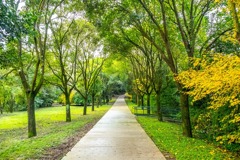 怪物公園（14）