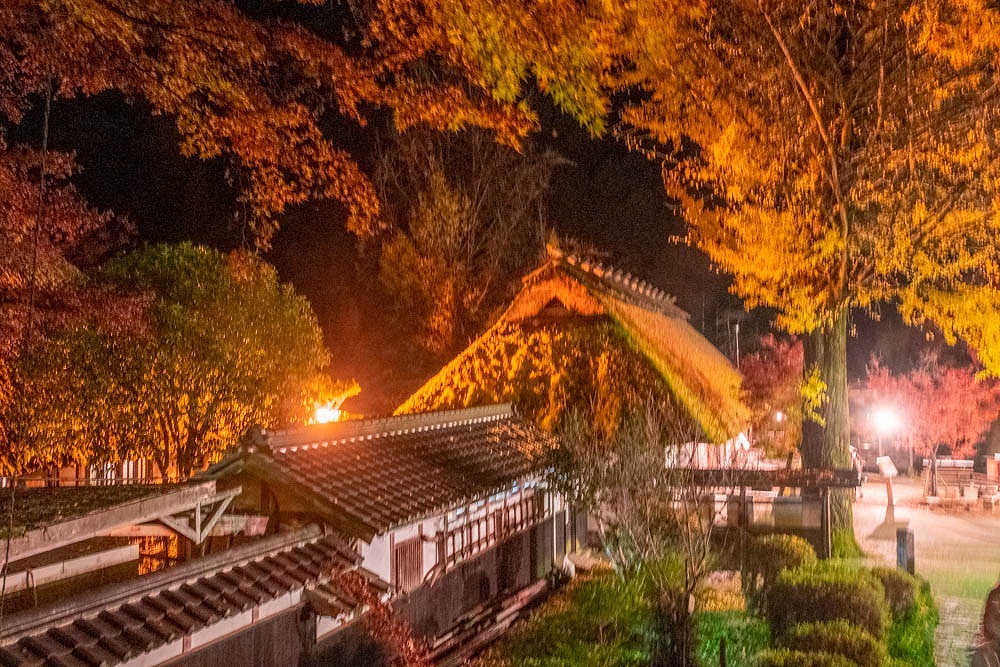 夜の香嵐渓（12）