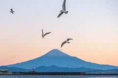 2021年の夜明け（10）