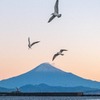 2021年の夜明け（10）