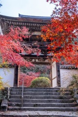 12月の奈良（41）