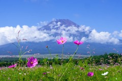 初秋の山中湖（４）