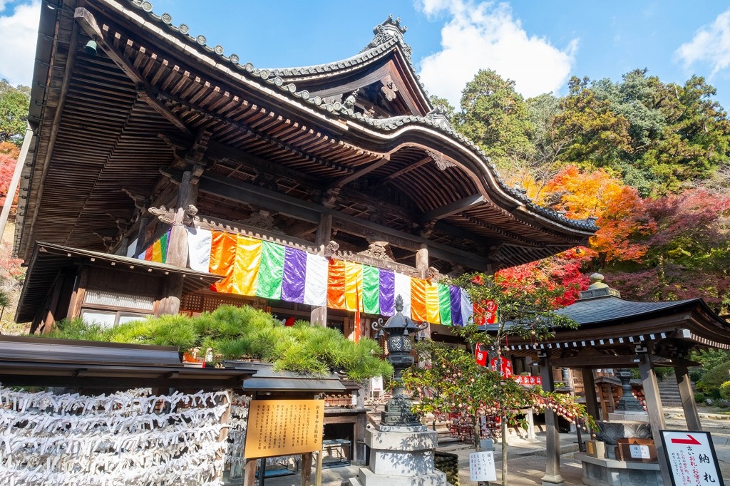 12月の奈良（39）