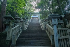 金毘羅さん（６）