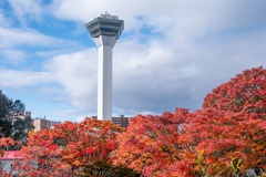 秋の五稜郭（10）