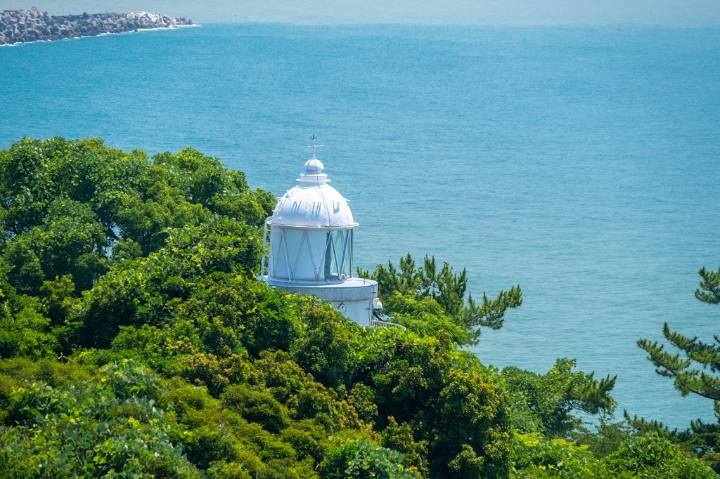 桂浜（５）