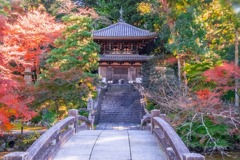 秋の京都（28）