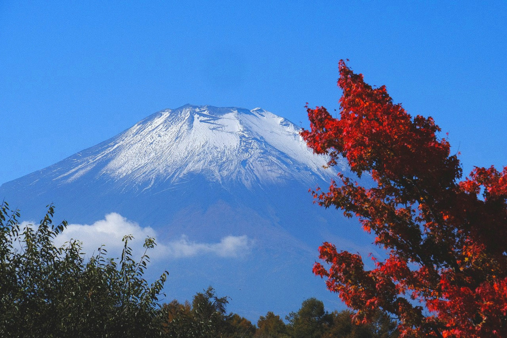 山中湖紅葉祭り１