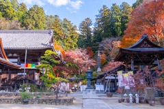 12月の奈良（61）