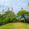 秋の兼六園（９）