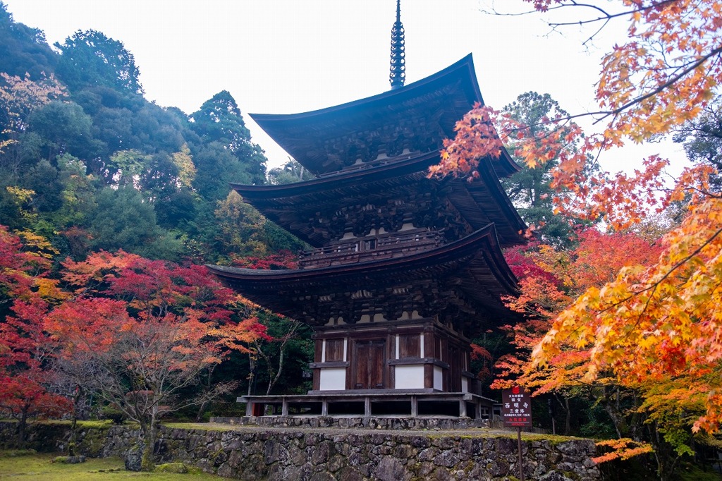 湖東の秋（２）