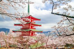 山梨の春（７）