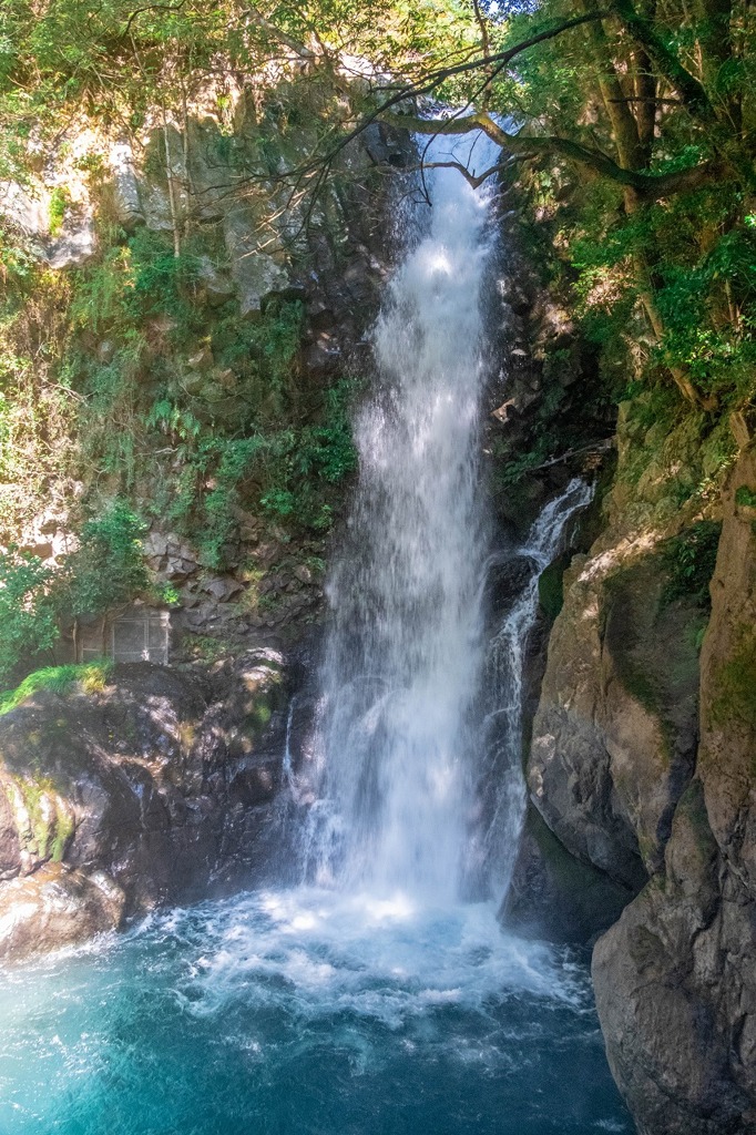 河津七滝（６）