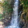 河津七滝（６）