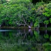 知床五湖（３）