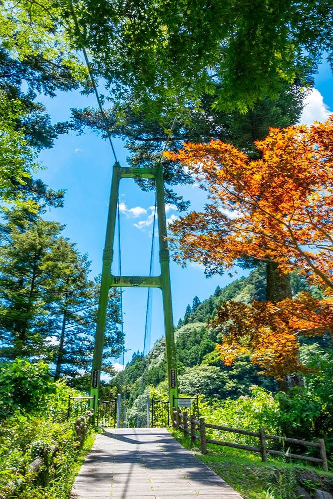 夏の川根町（３）