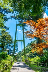 夏の川根町（３）