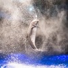 アクアパーク品川（７）