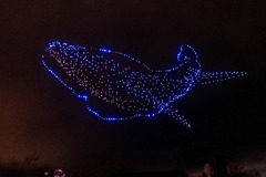 冬の夜のきらめく空 in Yamanakako（２）