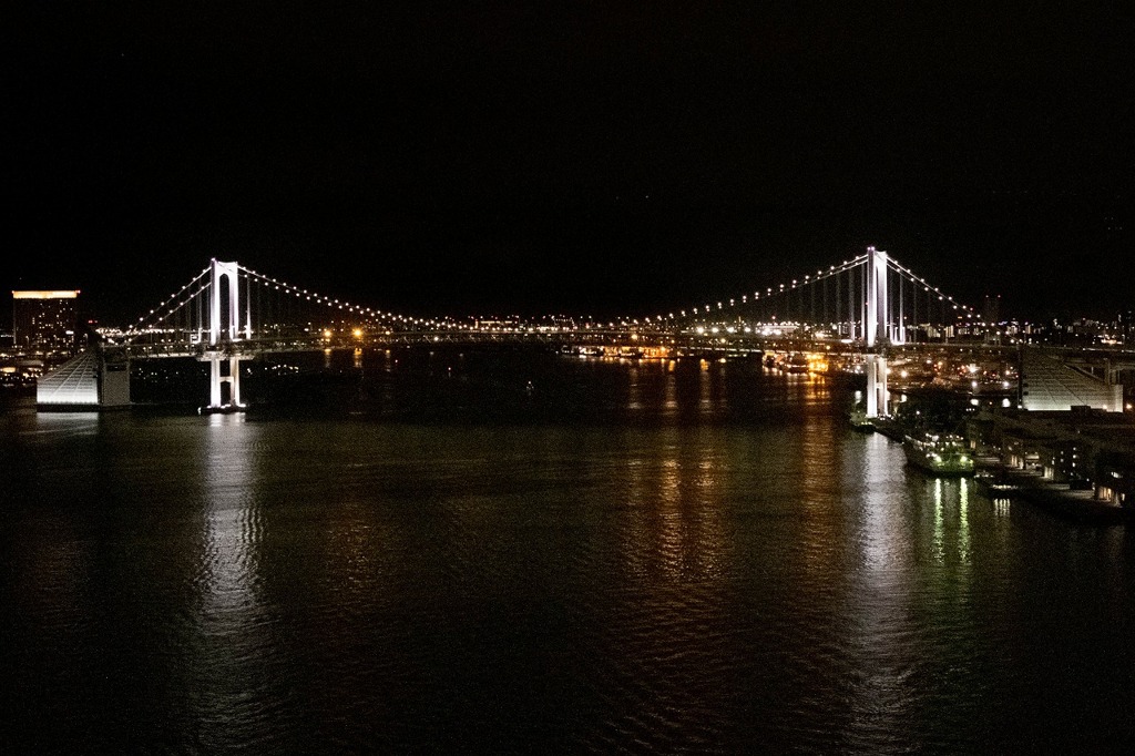 東京湾ナイトクルーｽﾞ（17）