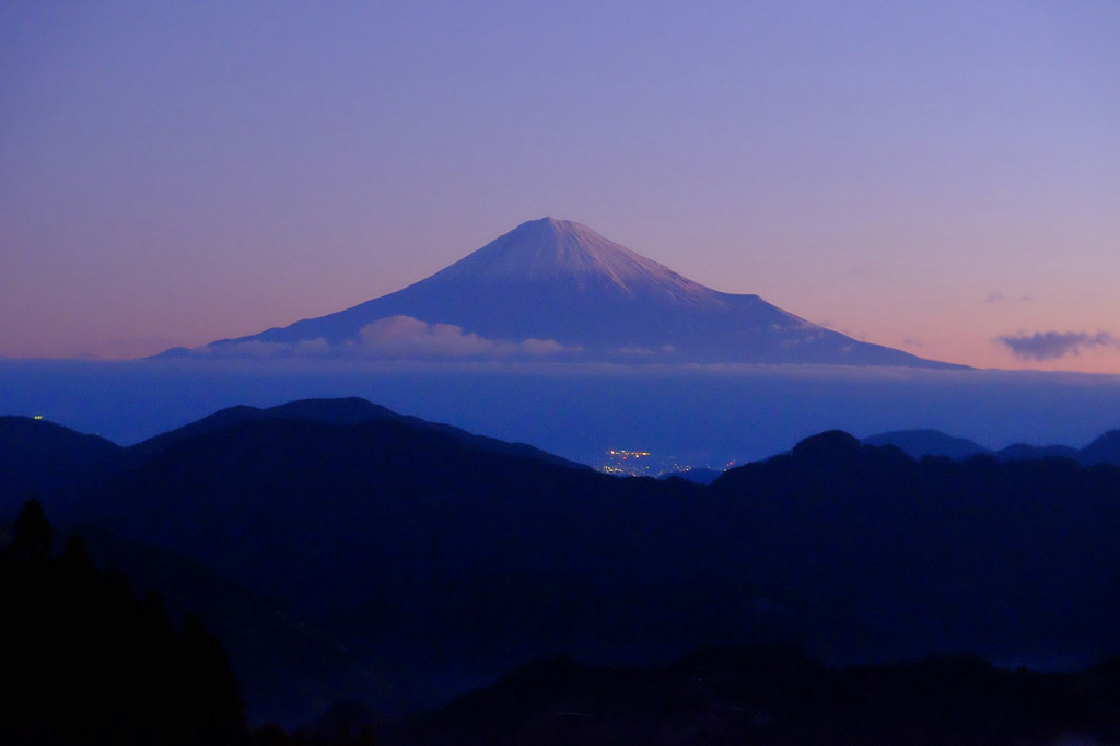 富士山と茶畑１