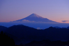 富士山と茶畑１