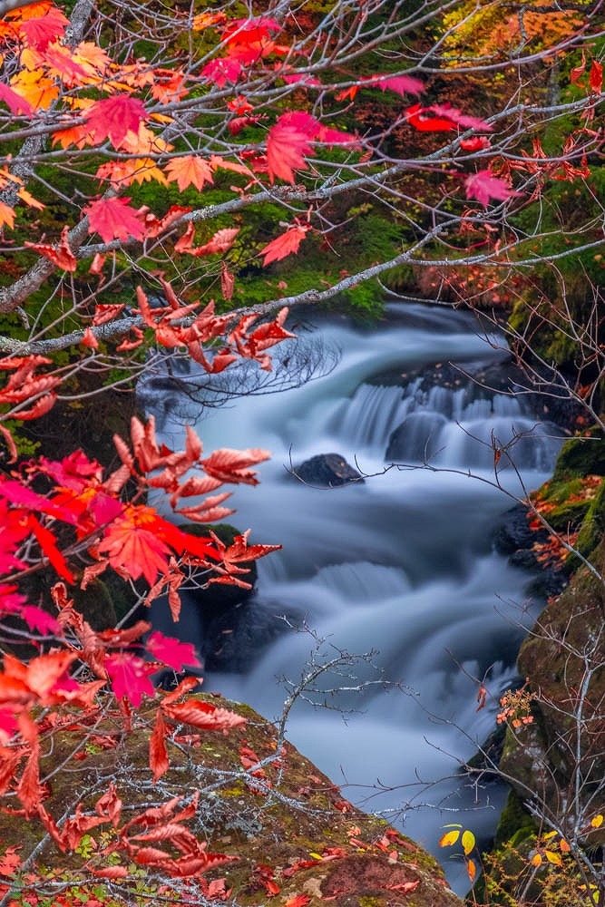 竜頭の滝（6）