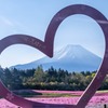 富士山芝桜まつり（２）