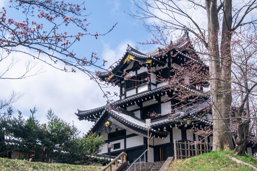 高田城の春（５）