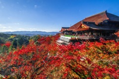 秋の京都（３）