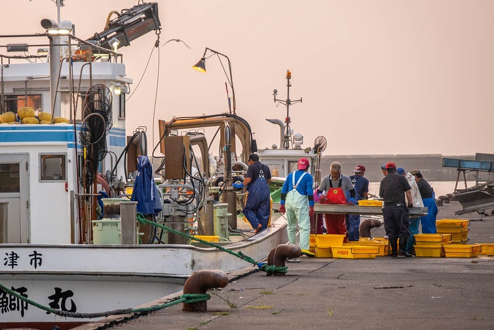 漁師町の朝（３）