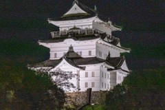夜の小田原城