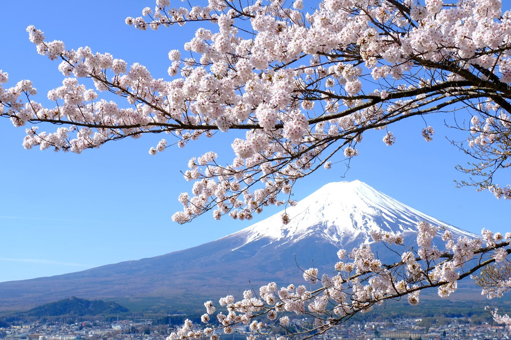 日本の春(1)