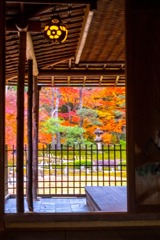12月の奈良（６）