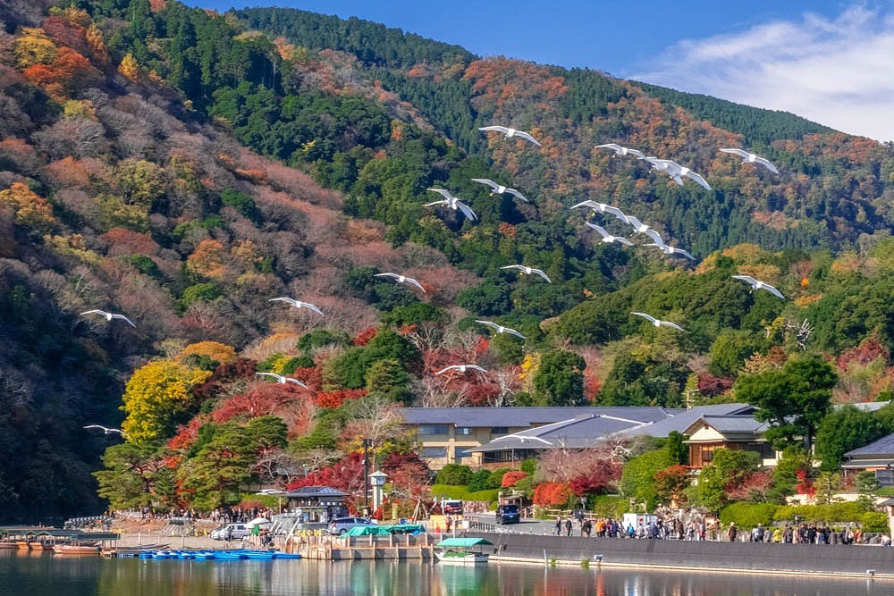 秋の京都（47）