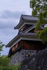 熊本（14）