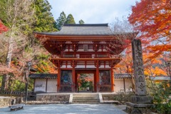 12月の奈良（32）