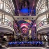 MSCベリッシマ（13）