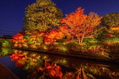 京都の夜景（３）