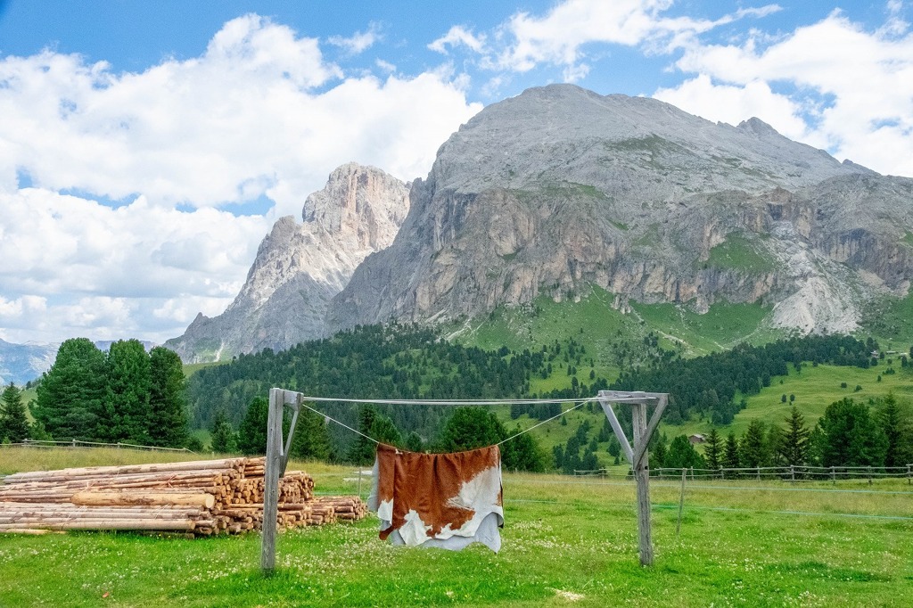 アルぺ・デ・シウジ（４）