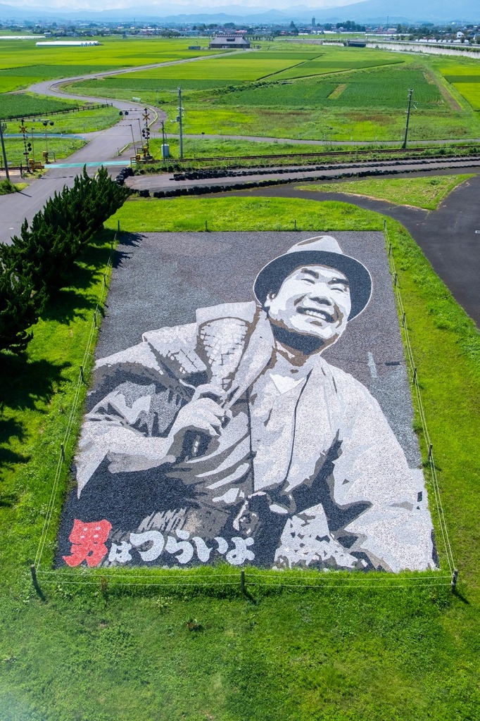 田舎館村田んぼアート（４）