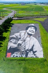 田舎館村田んぼアート（４）