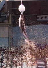 アクアパーク品川（３）